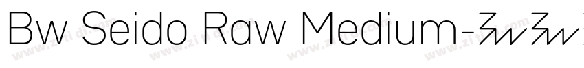 Bw Seido Raw Medium字体转换